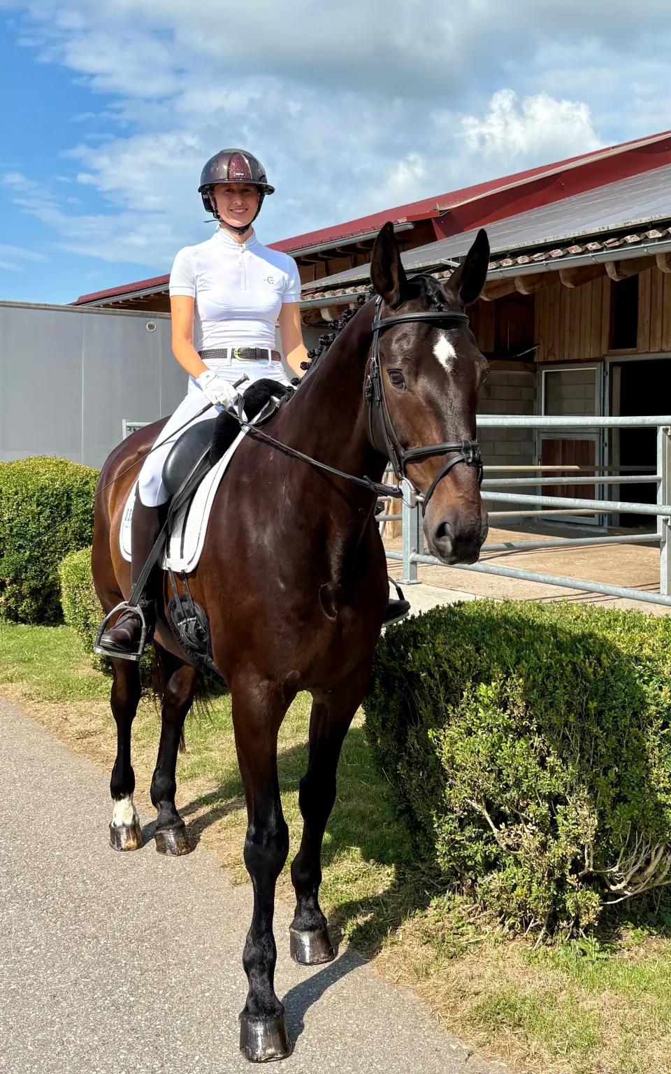 Customer photo of a rider on a horse